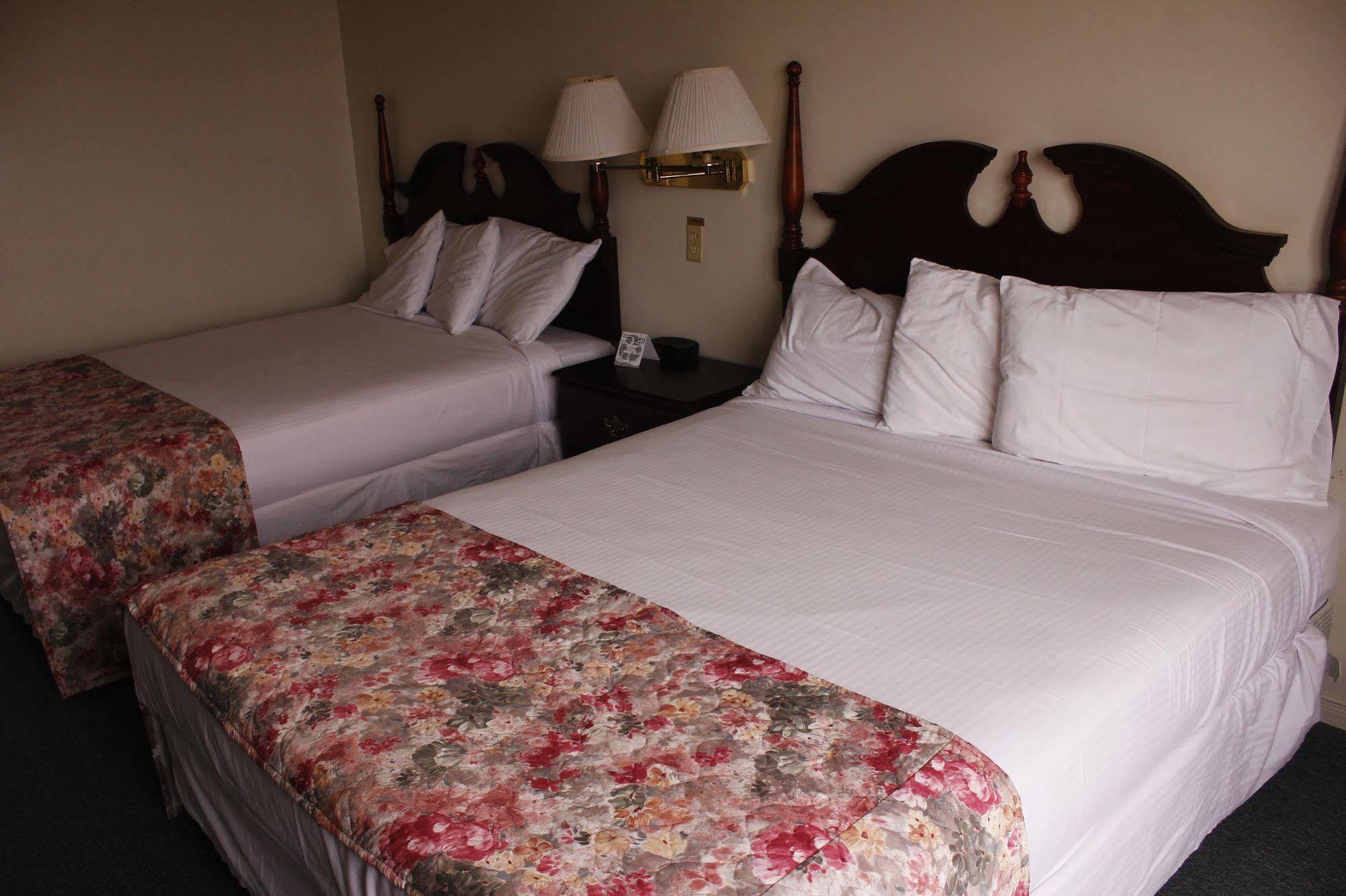 Brier Island Lodge Westport Eksteriør billede
